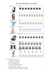 English Worksheet: Number of family members