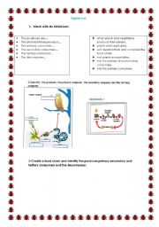 English Worksheet: Animals food chain