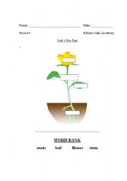 English Worksheet: Part of a Flower
