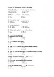 English worksheet: Quiz