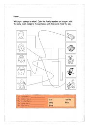 English Worksheet: Which pet belongs to whom?