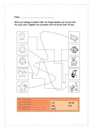 English worksheet: Which pet belongs to whom?