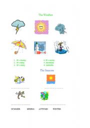 English worksheet: THE WEATHER