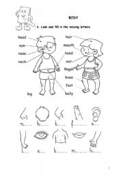 English Worksheet: BODY