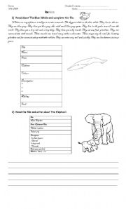 English worksheet: Animals reading, writing and listening