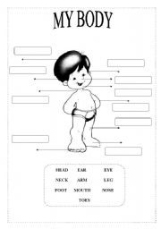 English Worksheet: MY BODY