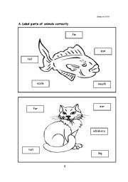 English worksheet: Parts of Animal