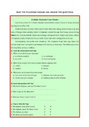 English worksheet:  Reading Quiz 