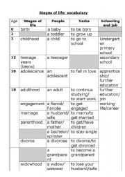 English Worksheet: stages of life