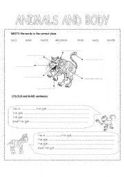 English Worksheet: animals and body