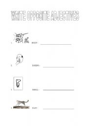 English worksheet: basic adjectives