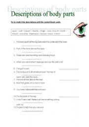 English worksheet: Vocabulary body parts