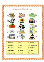 English Worksheet: Autumn: Matching