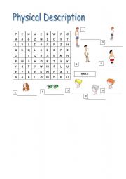 English Worksheet: Physical description