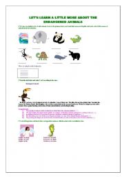 English worksheet: endangered animals