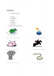 English Worksheet: ANIMALS - short test