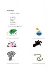 English worksheet: ANIMALS - short test