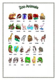 English Worksheet: Zoo Animals