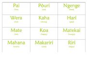 English Worksheet: Maori Feelings Chart