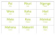 English worksheet: Maori Feelings Chart