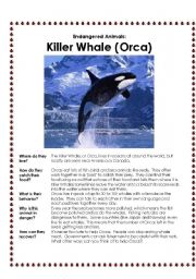 English Worksheet: Endangered Animals Factfind