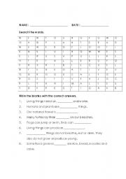 English Worksheet: Word Search Page 2