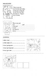English Worksheet: animals