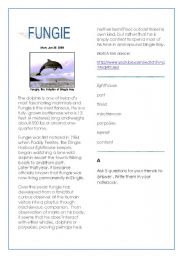 English Worksheet: Dolhins round the UK
