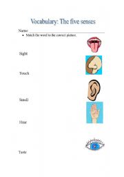 English Worksheet: The five senses