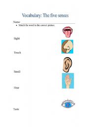 English Worksheet: The five senses