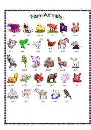 English Worksheet: Farm animals