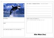 Endangered Animal Factfind Worksheets