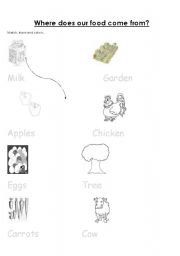 English Worksheet: Food and where it comes from
