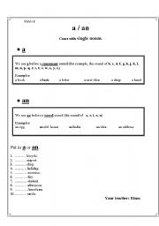 English worksheet: a .an worksheet and rules