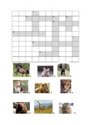 English Worksheet: animal crossword