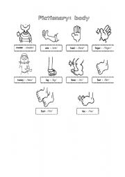 English Worksheet: body