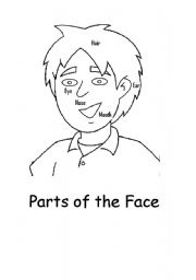 English Worksheet: Face parts