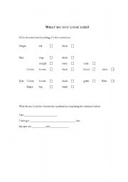 English worksheet: Personal Appearance