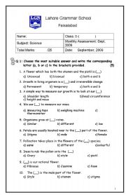 English worksheet: Scinece questionaire