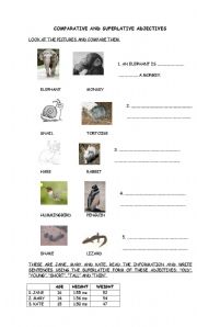 English worksheet: COMPARATIVE AND SUPERLATIVE ADJECTIVES