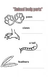 English worksheet: AMIMAL BODY PARTS