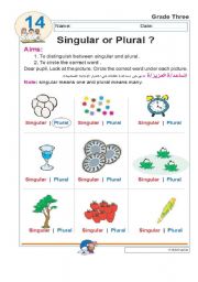 English worksheet: singular or plural