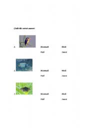 English Worksheet: animal groups