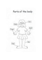 English Worksheet: Parts of the body