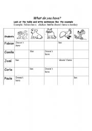 English worksheet: What do you have?