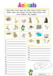 English Worksheet: Worksheet Animals