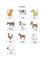 English worksheet: Vocabulary: Animals