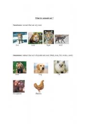 English worksheet: What do animals eat ?