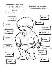 English Worksheet: MY LITTLE BODY