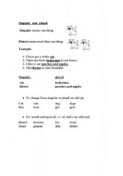 English Worksheet: SINGULAR AND PLURAL